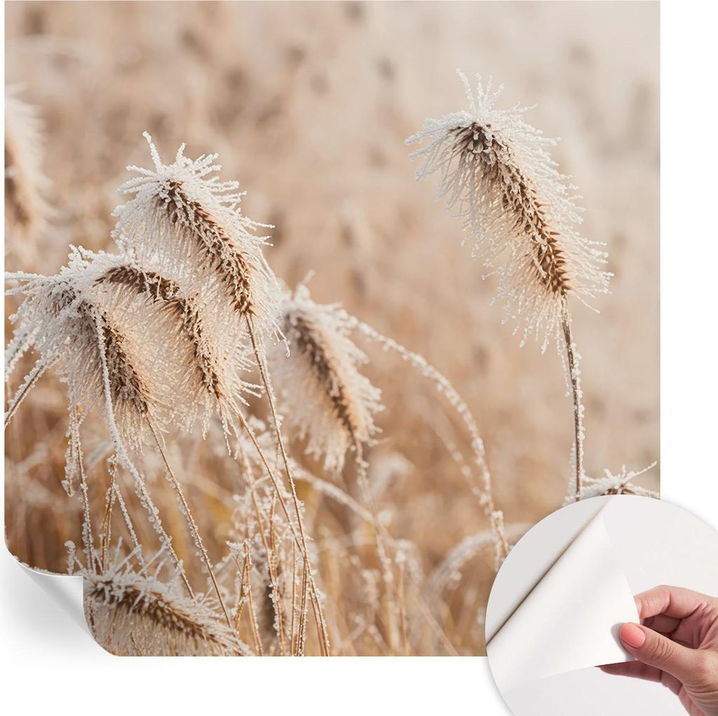 Selbstklebende Wandtapete - Dekorative Tapete für Wohnzimmer - Klebefolie für Wandbilder - Tapetenfolie für Wanddekoration - 250x250 cm - Winter...