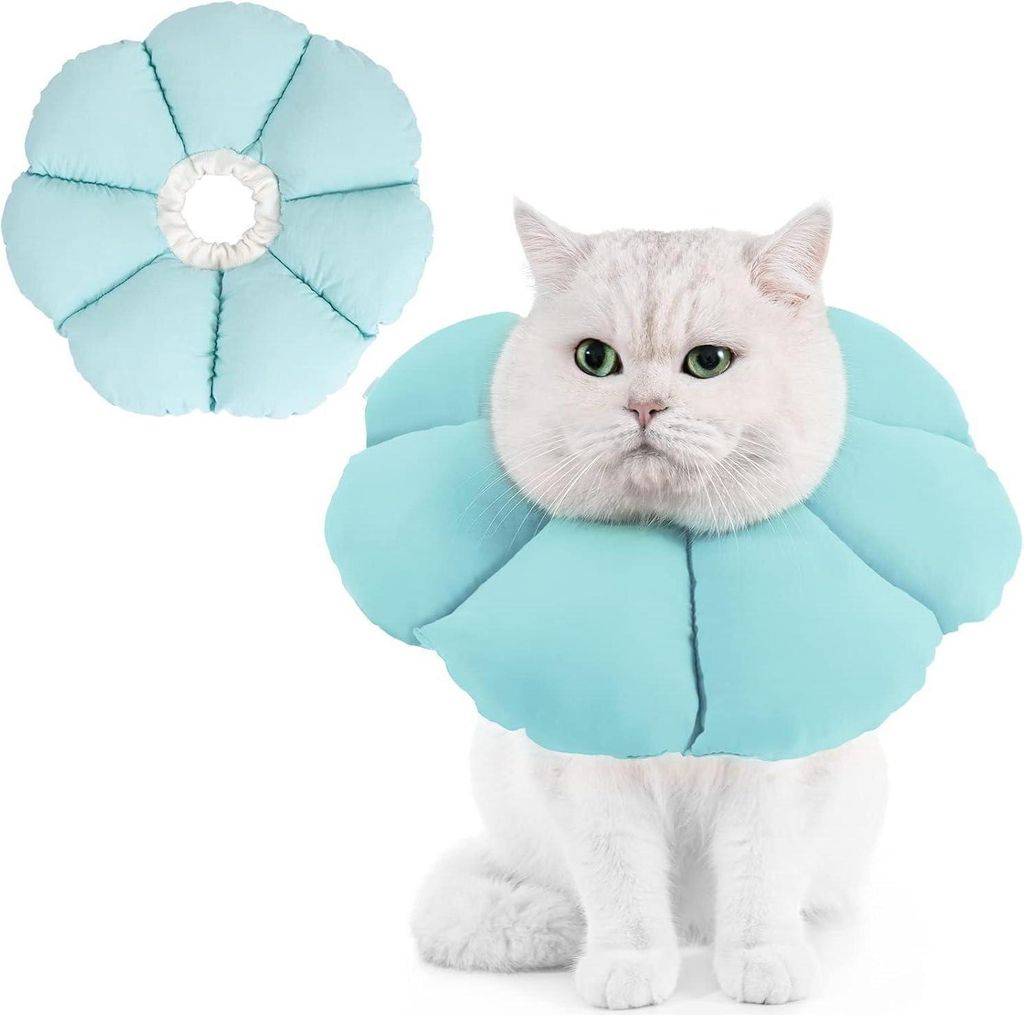 Avont Halskrause Katze Blau Mittelgroß Einstellbar Produktbild 
