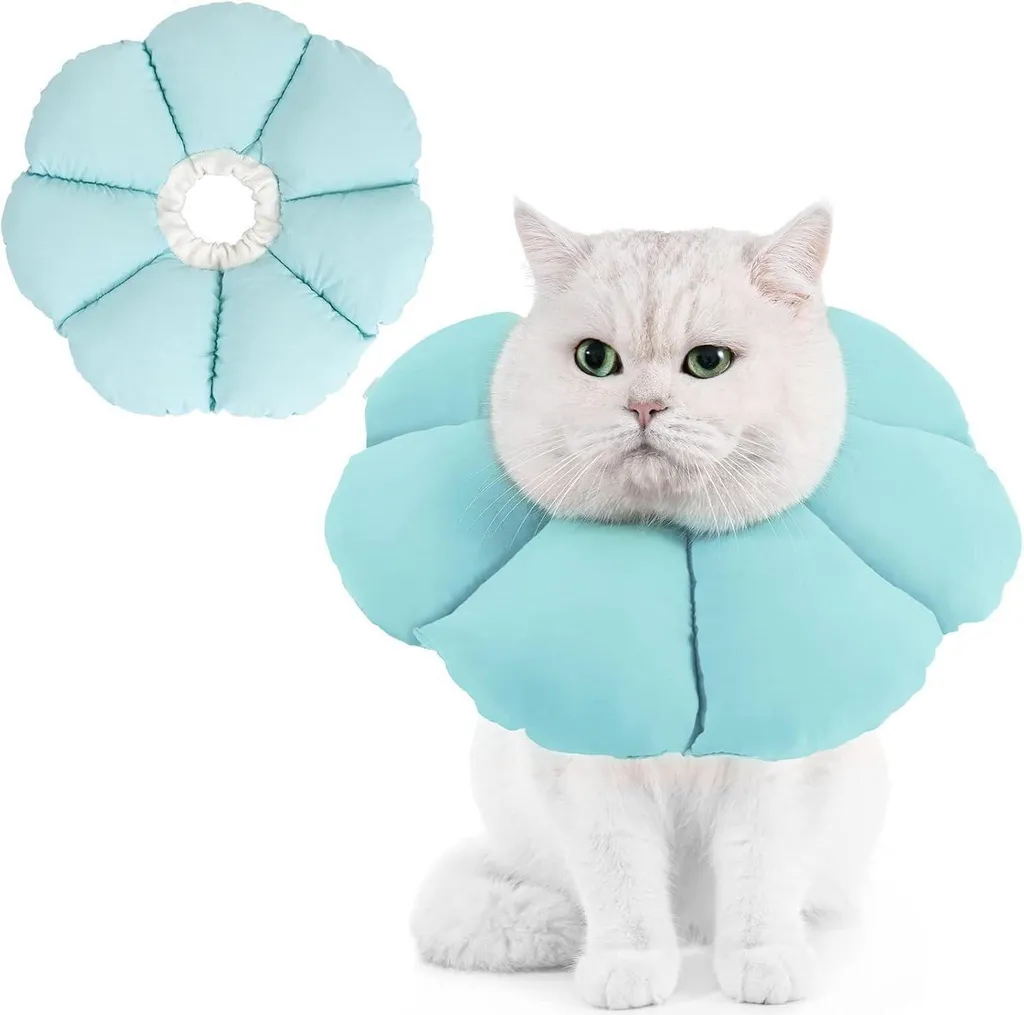 Collier de protection pour chat après chirurgie : soin Avont bleu L