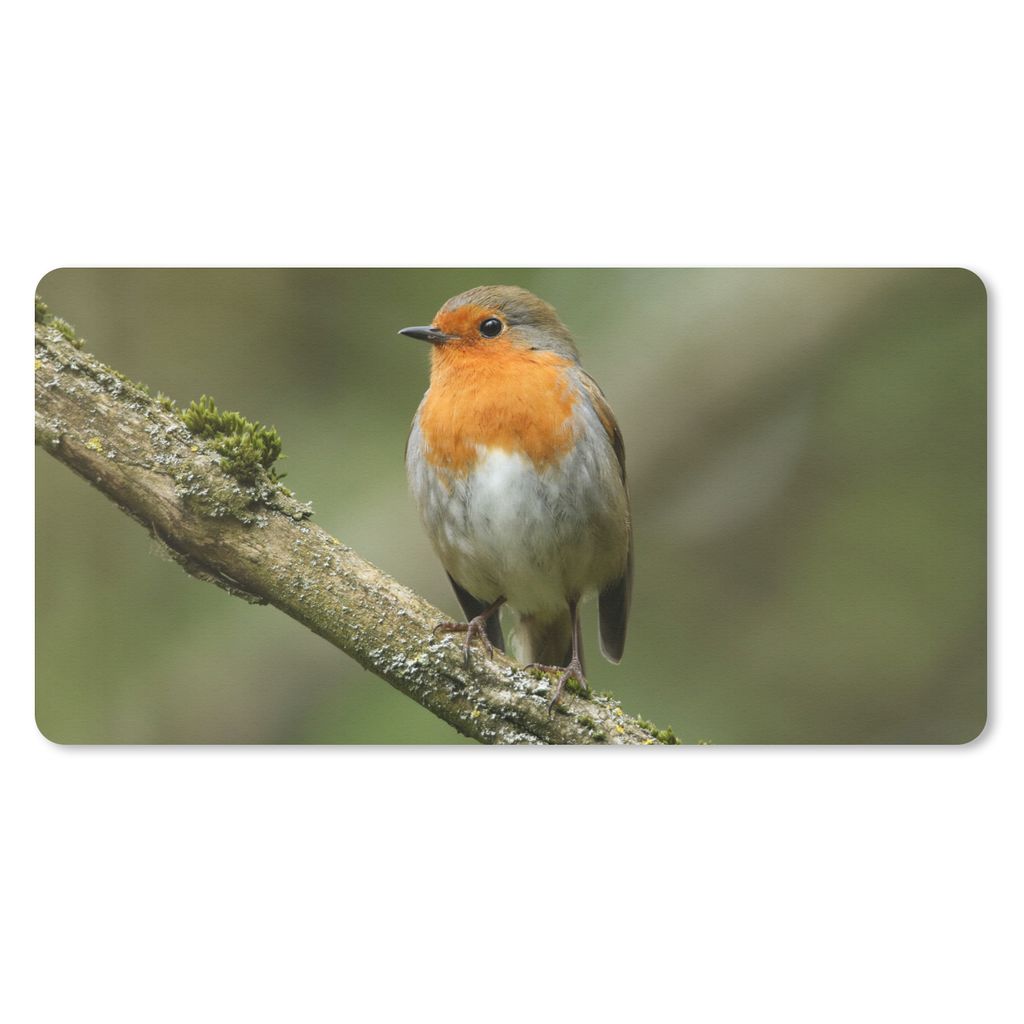 MuchoWow Mauspad Mousepad Vogel - Rotkehlchen - Zweig - Pflanzen 60x30 cm - Mousepads - Maus Mat - Pad - Mausunterlage - Nachhaltig