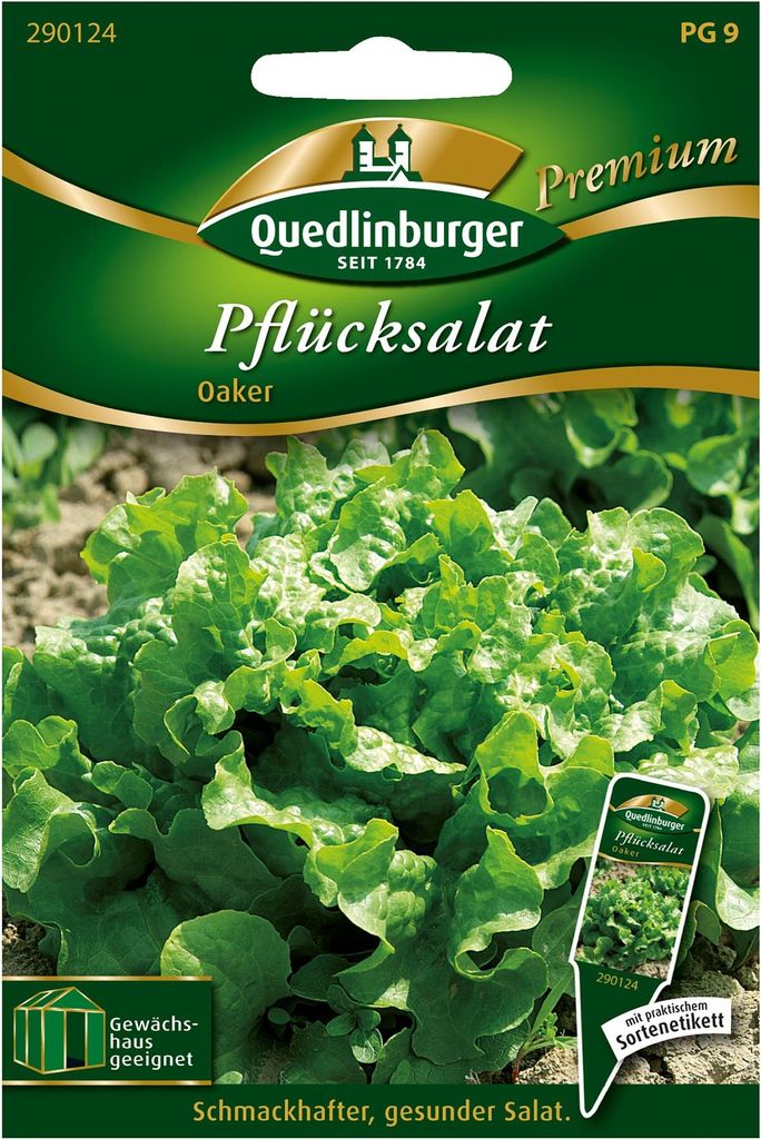 Pflücksalat 'Oaker' Quedlinburger Salatsamen