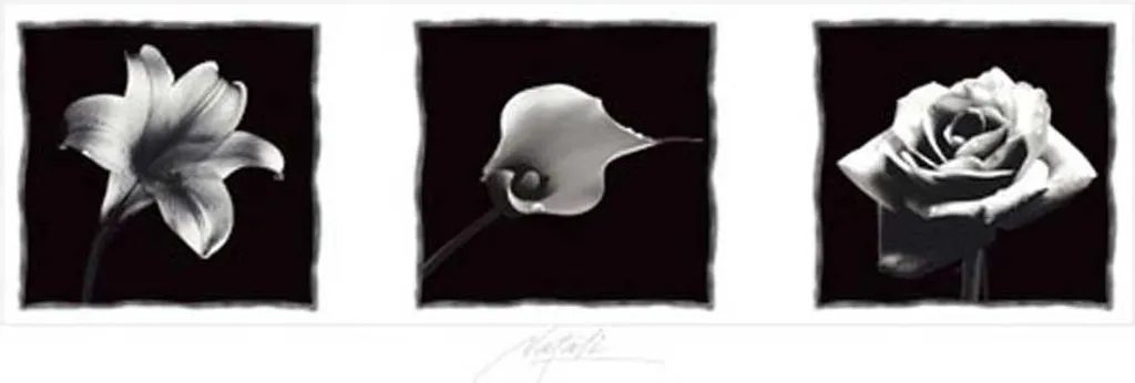 Affiche Florale Slim Triptyque Aluminium Argenté 4 Pièces de 93,5 cm