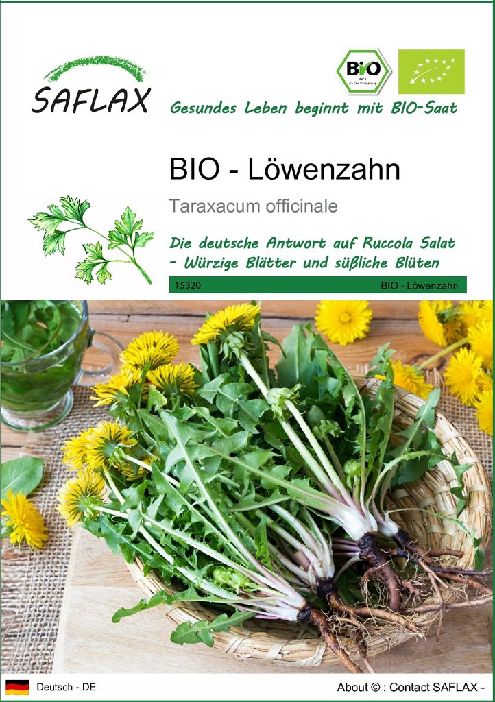 SAFLAX - BIO - Löwenzahn - 400 Samen - Taraxacum officinale Produktbild 