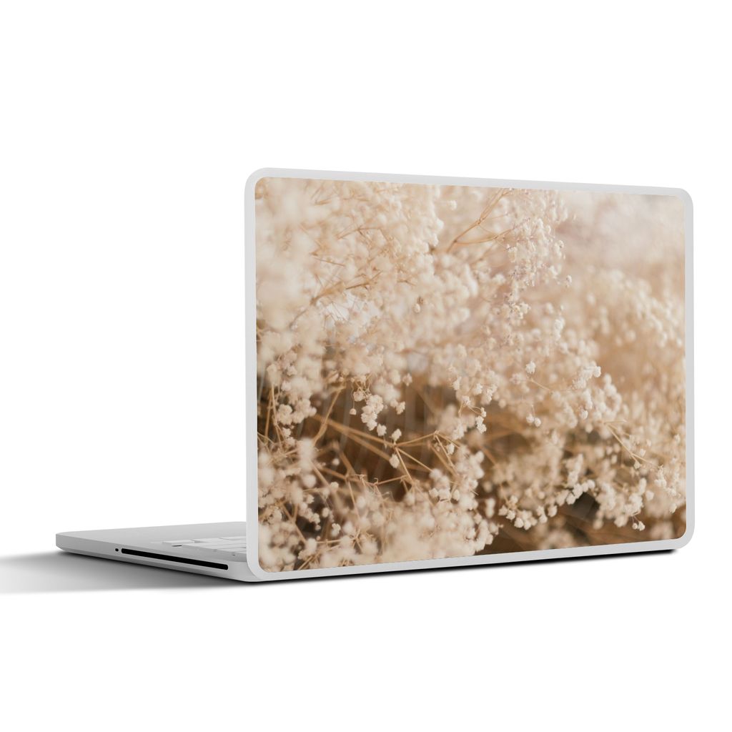 MuchoWow Laptop Aufkleber Sticker Cover Pampasgras - Pflanze - Natur 25x18 cm - Laptop-Deko