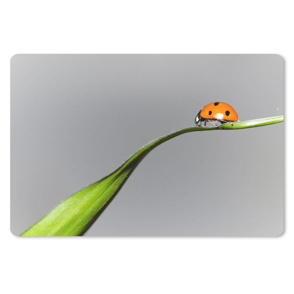 MuchoWow Mauspad Mousepad Frühling Marienkäfer auf Gras 27x18 cm - Mousepads - Maus Mat - Pad - Mausunterlage - Büroartikel - Desk Matten