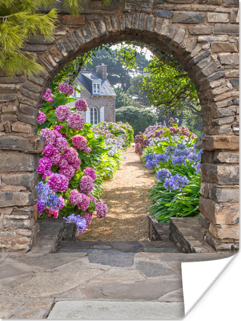 MuchoWow Poster Blumen - Ansicht - Hortensie - Sommer 30x40 cm - Wandplakat - Poster Kinderzimmer