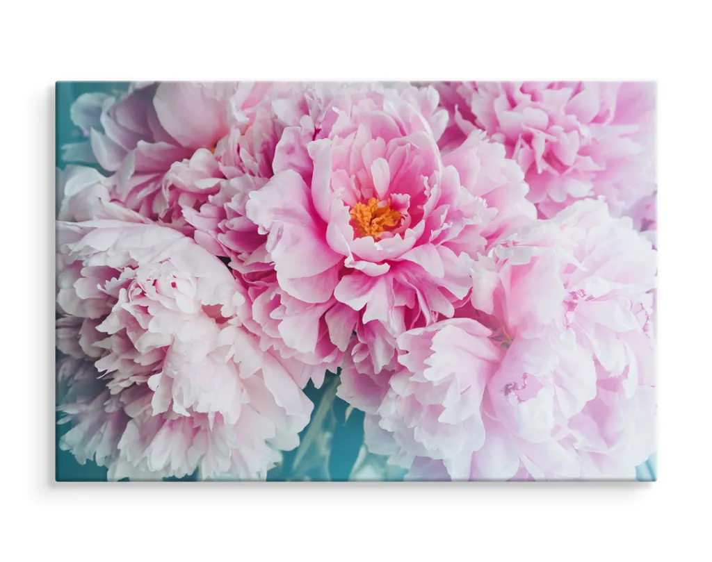 Favolosa tela PICTURES 120x80 cm XXL stampa d'arte peonie fiori natura - 3