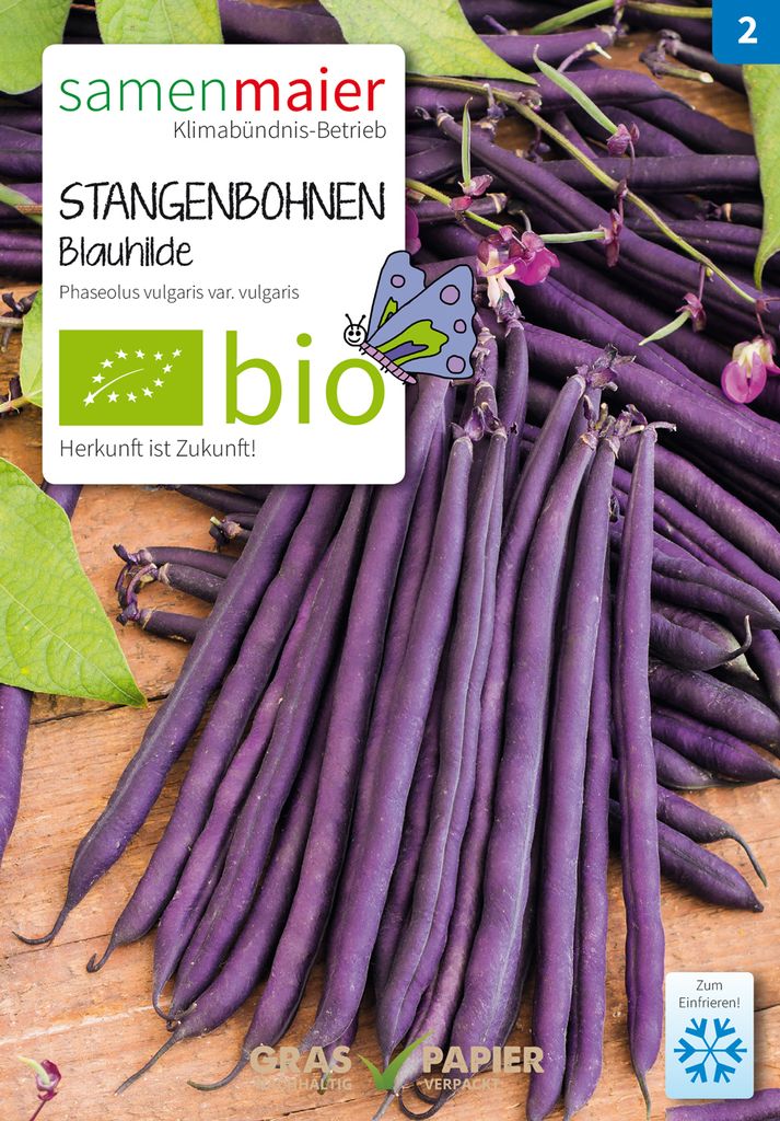 Bohnensamen Blauhilde – Stangenbohnen, Wird Beim Kochen Grün