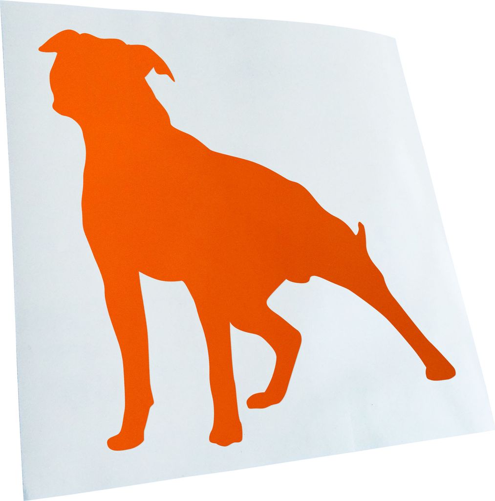 Kiwistar - Autoaufkleber - American Stafford Hunderasse Heckscheibenaufkleber - Aufkleber für Auto Kfz Fahrrad, LKW, Truck Mofa