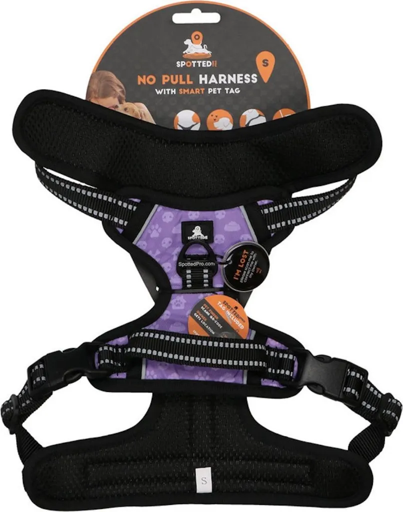 Avvistato! Imbracatura PRO Viola S