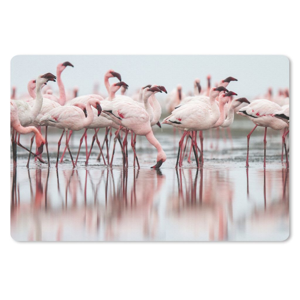 MuchoWow Mauspad Mousepad Schar von Flamingos im Wasser 27x18 cm - Mousepads - Maus Mat - Pad - Mausunterlage - Büroartikel - Desk Matten