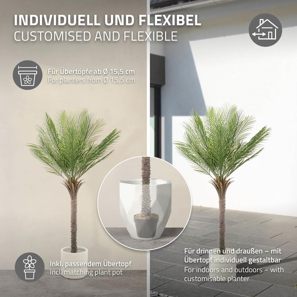 kriechende gelb blühende pflanze Stauden-Kollektion mit gelber Blüte (x11) - Solidago luteus, alchemilla  mollis, hemerocallis stella de oro main image 0