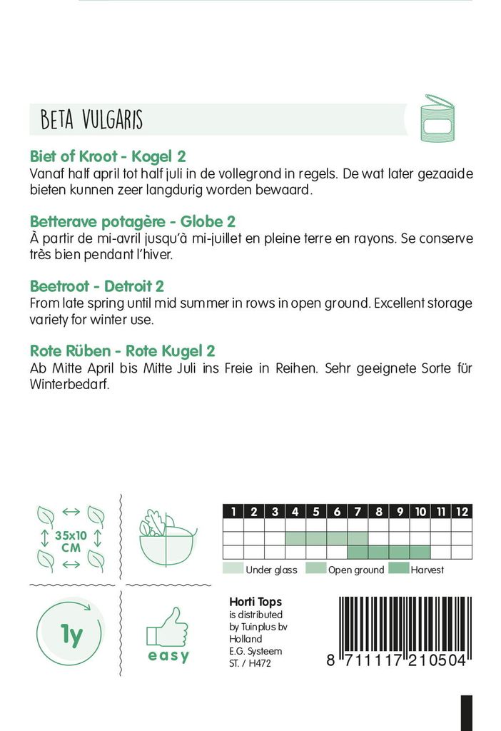 Rote Rüben Rote Kugel 2 Detroit | Rübensamen von Hortitops