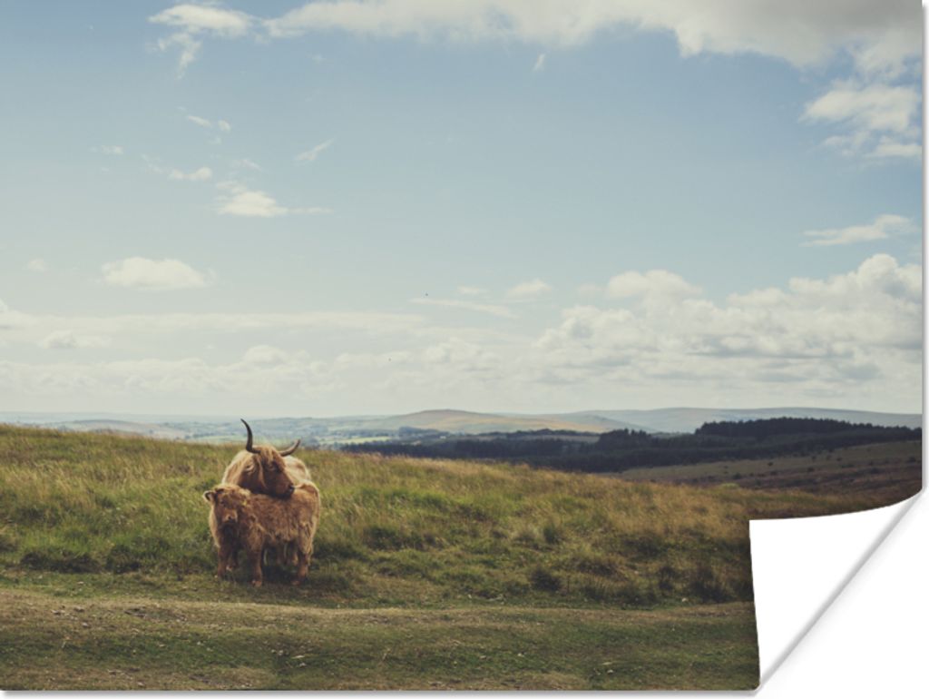MuchoWow Poster Schottische Highlander - Gras - Wolken - Tiere 40x30 cm - Plakate für die Wände - Poster Wohnzimmer