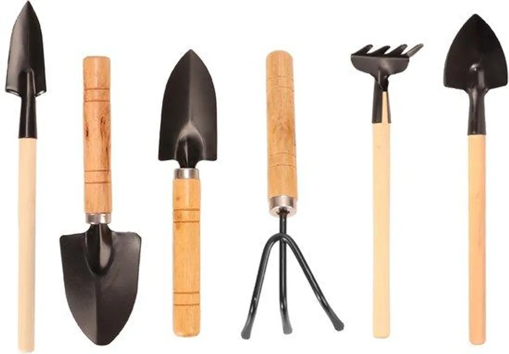 Kit entretien plantes grasses manche bois ergonomique et outils en acier