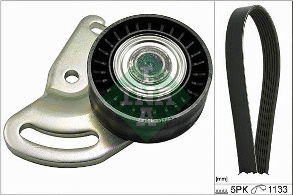 INA 529 0178 10 Keilrippenriemensatz OE 7701476473 kompatibel mit Almera, Kubistar, Micra, Clio, Scenic, Kangoo, Megane, Modus, Thalia