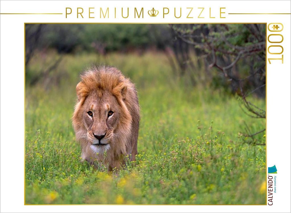 CALVENDO Puzzle Löwenmann während der Regenzeit | 1000 Teile Lege-Größe 64x48cm Foto-Puzzle für glückliche Stunden