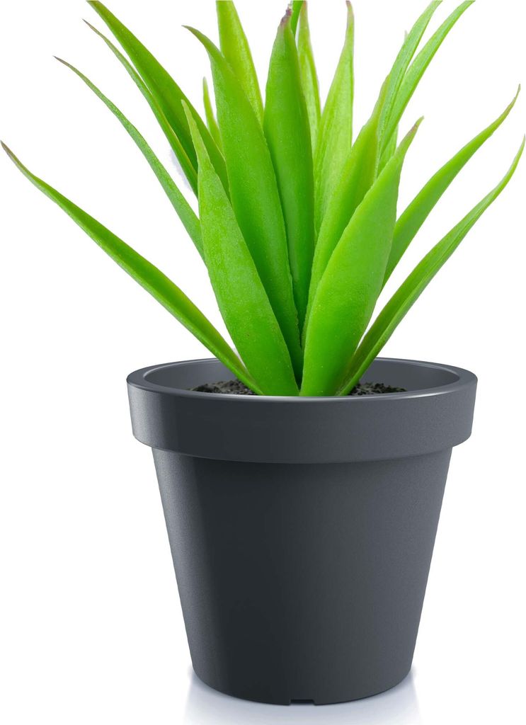 Vaso alto LOFLY SLIM antracite 29,3cm - HK Green