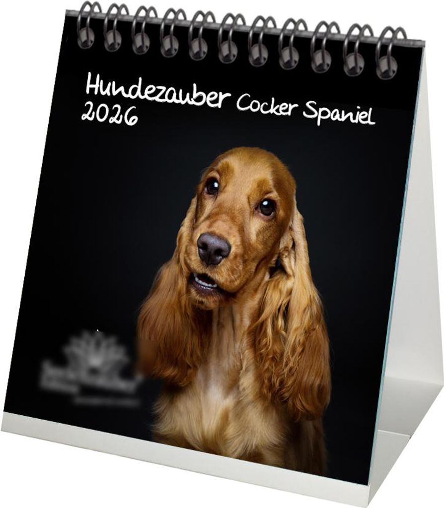 Hundezauber Cocker Spaniel Tischkalender 10cm x 10cm für 2026 Welpen und Hunde - Inhalt: 1x Kalender 1x Weihnachtsanhänger 1x Grußanhänger (ges...