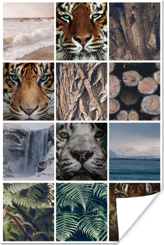 MuchoWow Poster Tiger - Collage - Pflanzen - Natur 40x60 cm - Plakate für die Wand - Poster Babyzimmer