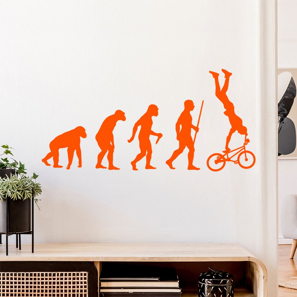 BMX Freestyle Evolution Wandtattoo Wandaufkleber Wall Sticker - Dekoration, Küche, Wohnzimmer, Schlafzimmer, Badezimmer