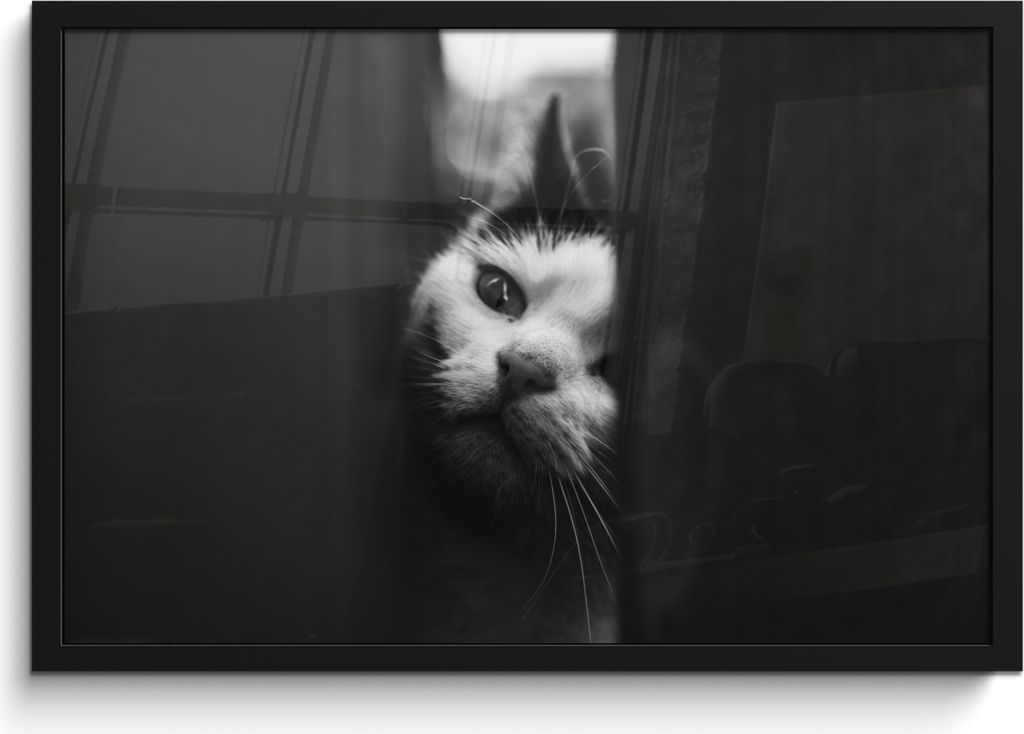 MuchoWow MuchoWow Gerahmtes Poster Tierprofil Spionage Katze in schwarz und weiß 60x40 cm - Poster mit zchwarzem Bilderrahmen - Printing - Wan...
