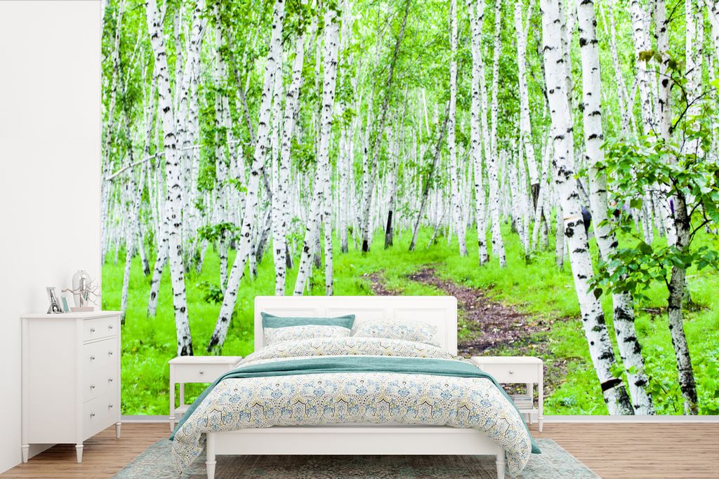 MuchoWow Fototapete für Wohnzimmer oder Schlafzimmer Wandtapete Vinyl Motivtapete Ein Wald aus rauen Birken - 525x350 cm - Das Hintergrundbild