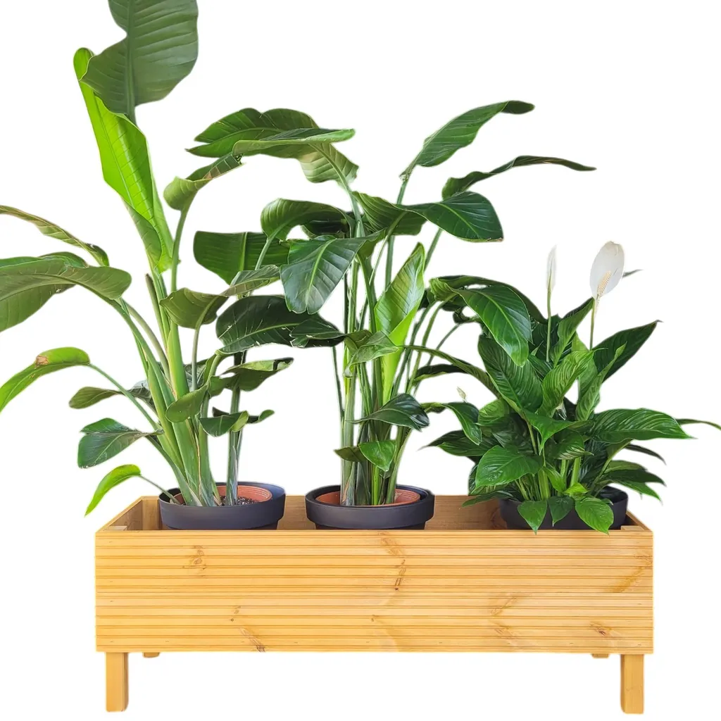 Cache-pot Bois 115 cm pour Séparation Terrasse et Déco Plantes Géantes