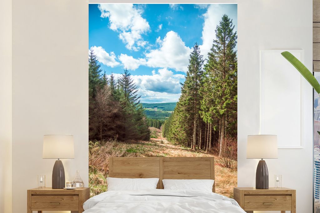 MuchoWow Fototapete für Wohnzimmer oder Schlafzimmer Wandtapete Vinyl Motivtapete Kiefernwälder im Northumberland-Nationalpark in England - 200...