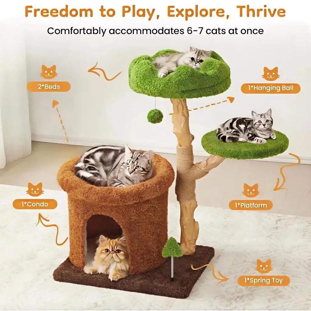 Katzenvilla Arbre à Chat en Bois 3 Niveaux Design Épuré pour Intérieur - 3