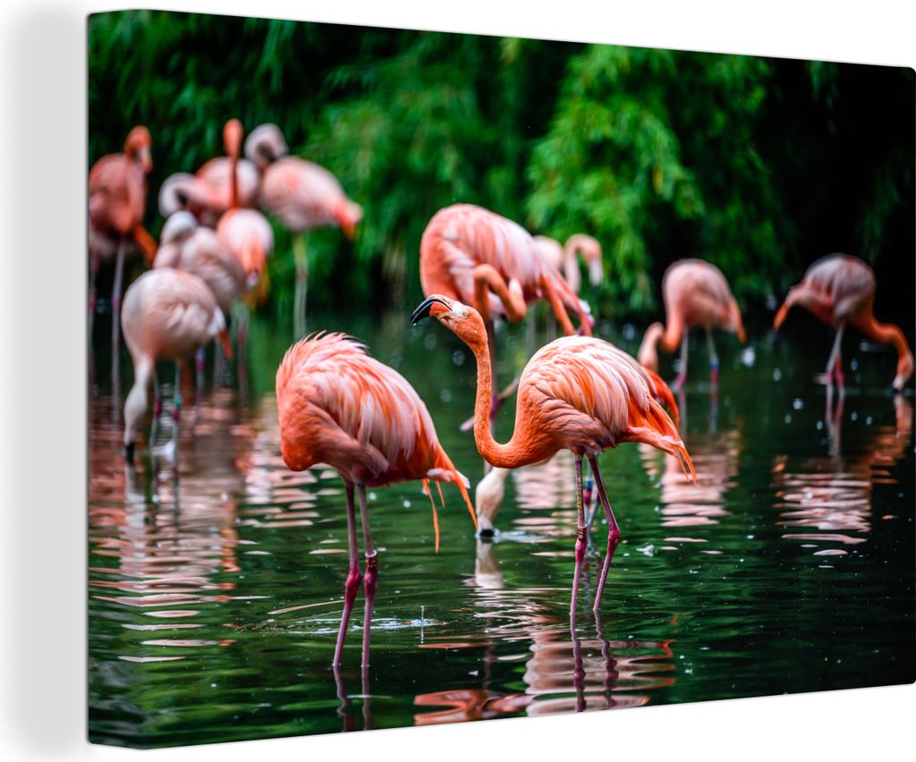 OneMillionCanvasses - Leinwandbilder - 150x100 cm, Flamingo - Tropisch - Vogel - Wasser - Rosa, Wandbilder Kunstdruck Wanddekoration - Foto auf L...