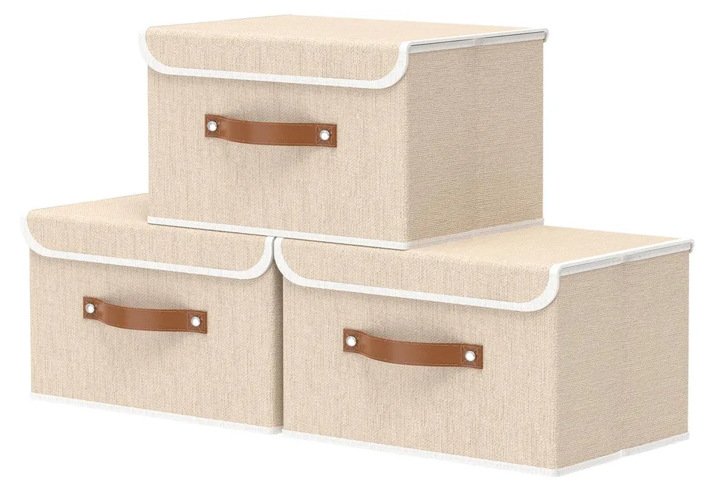 Boîtes de rangement anti-poussière pour placard propre et ordonné x3
