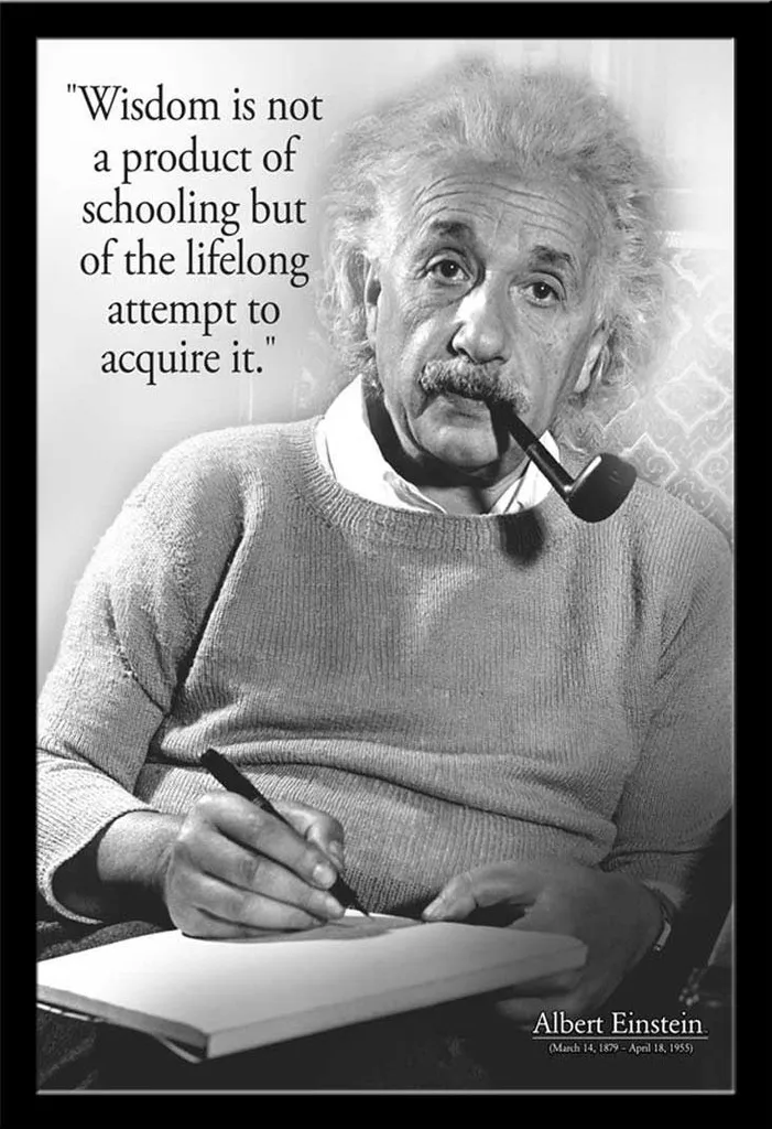 Poster Einstein encadré Shinsuke : Solution Déco Murale Prête à Poser