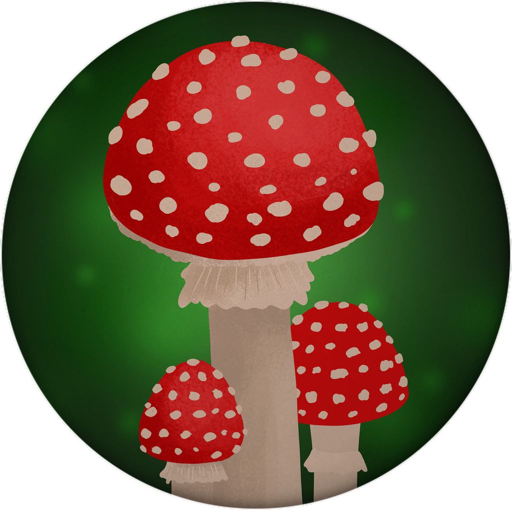 Pilz Glücksbringer Magnet rund mit Flaschenöffner rund