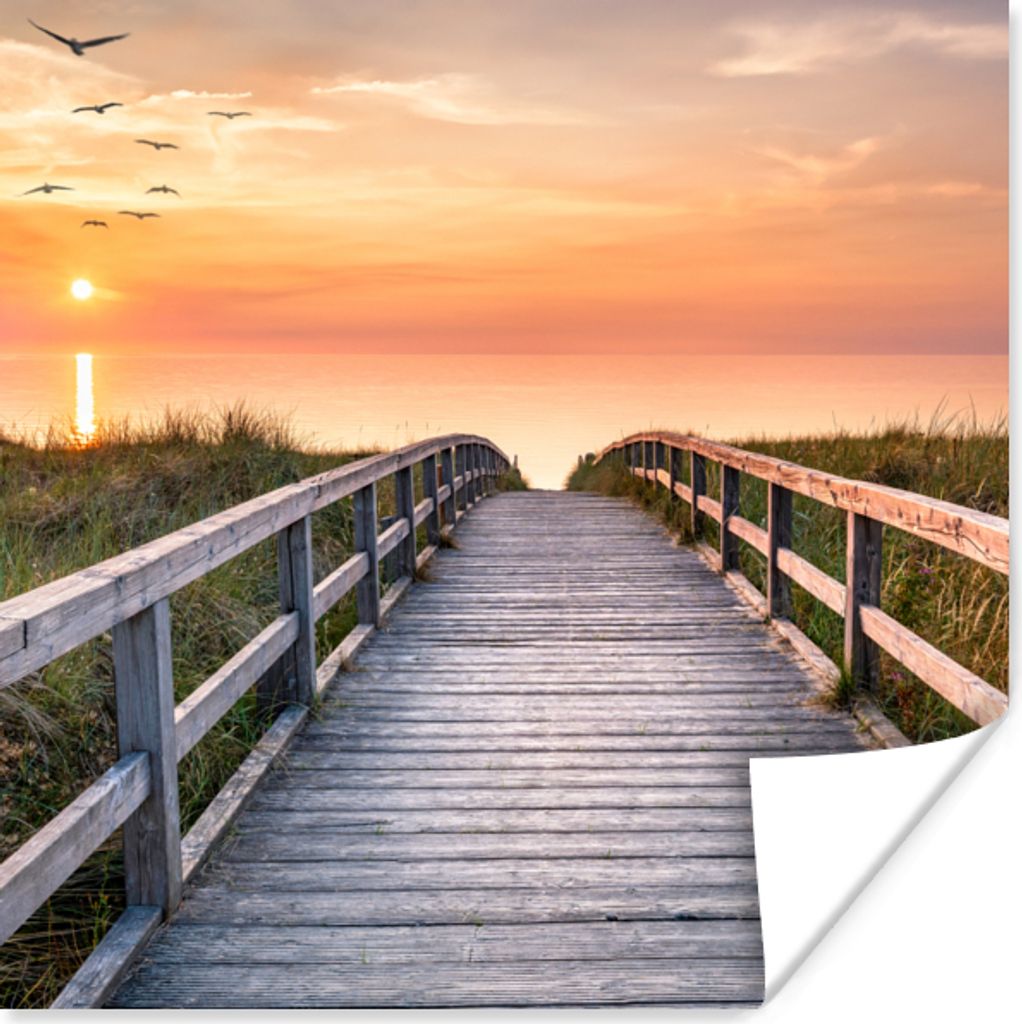 MuchoWow Poster Sonnenuntergang - Meer - Weg - Gras - Düne - Vögel 30x30 cm - Wandposter - Printing