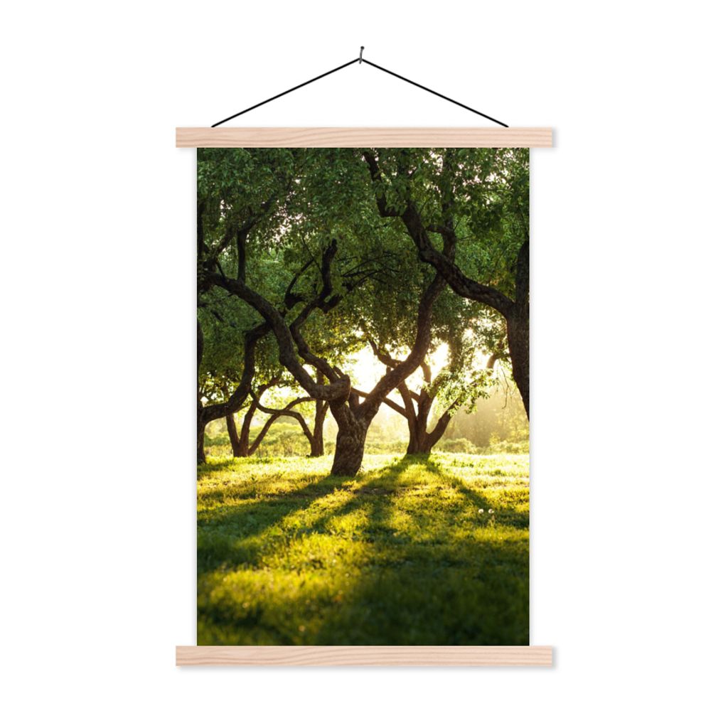 MuchoWow Textilposter Bäume - Natur - Sonne 60x90 cm mit holzfarbenen Rahmen - Textil