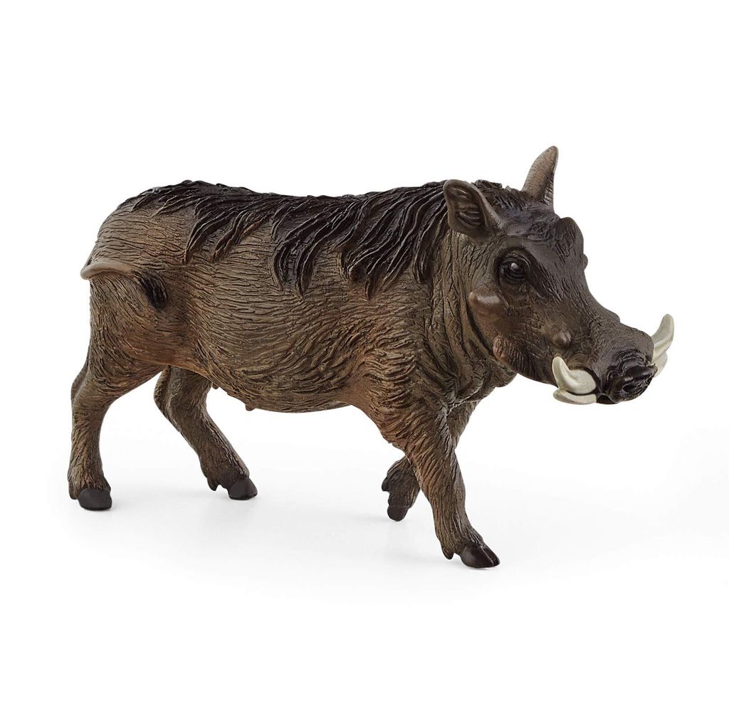 Animale domestico - facocero Immagine del prodotto 
