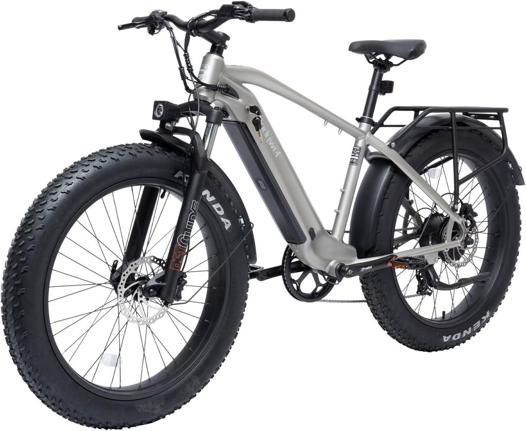 26 * 4.0 Zoll Fatbike, City E Bike Herren 250W 70Nm Elektrofahrrad mit 48V 13.5Ah austauschbarer Akku, Doppelte Ölbremsen, 7-Gang Schaltung, 25 km/h