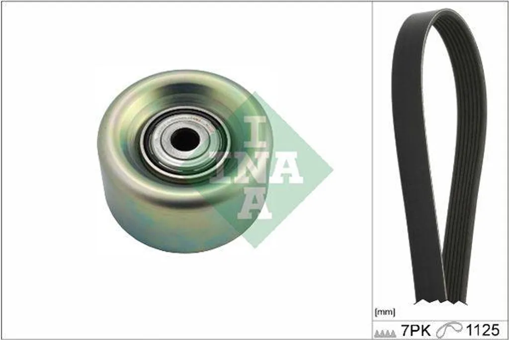 Kit courroies trapézoïdales crantées INA 529023110 | Qualité OE d'origine