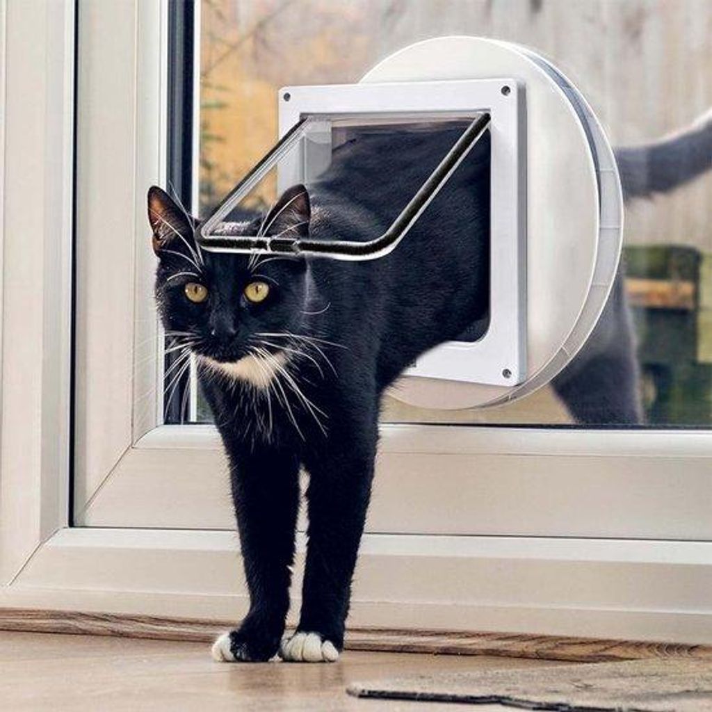 Kattenklauwer – drzwi dla kotów z 4-stopniową regulacją Zdjęcie produktu 