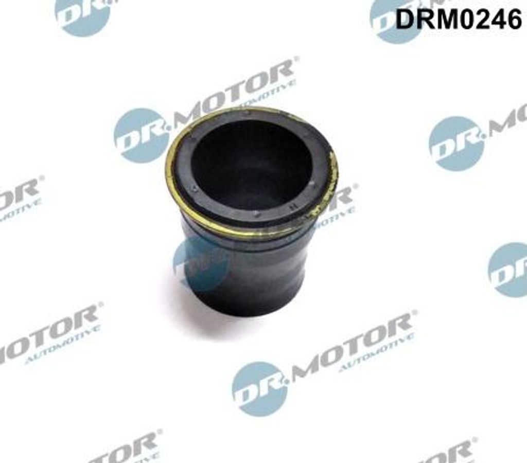 DR.MOTOR AUTOMOTIVE Dichtring Düsenhalter DRM0246 Produktbild 