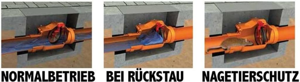 Capricorn Rückstauverschluss mit verriegelbarer Produktbild 