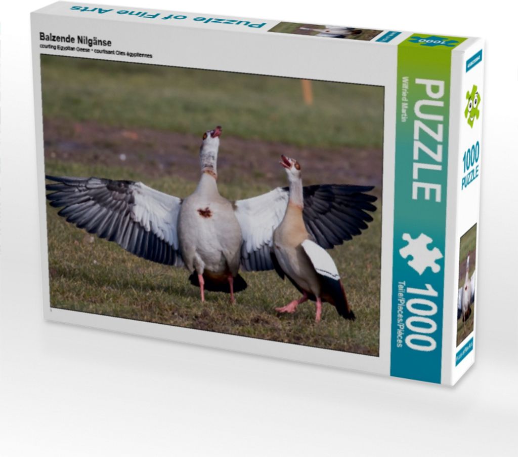 Calvendo Balzende Nilgänse 1000 Teile Puzzle quer 640x480mm, Martin Wilfried; 7341938