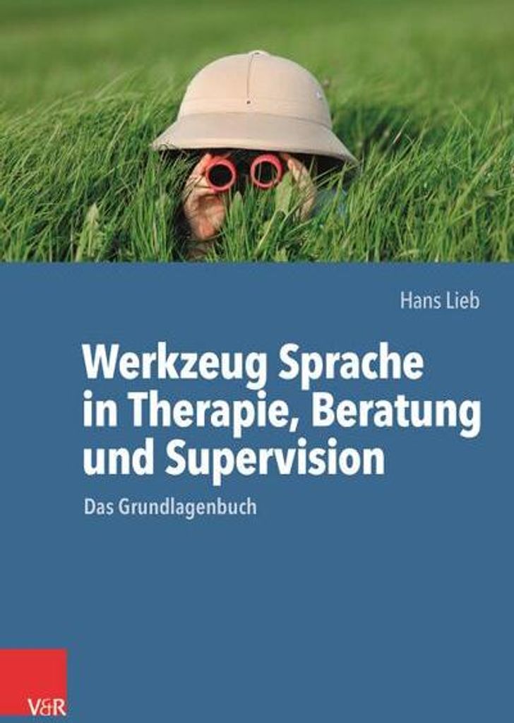 Werkzeug Sprache in Therapie, Beratung und Supervision