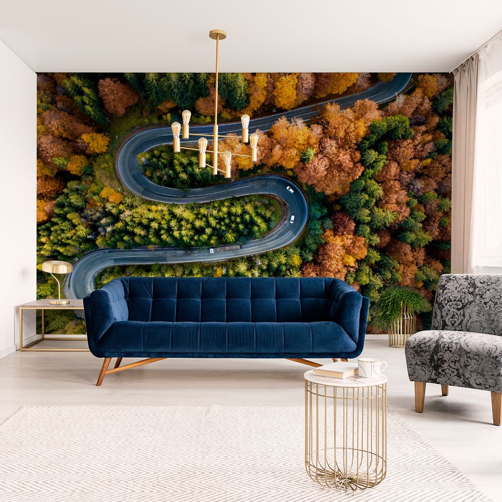 Muralo XXL Selbstklebende FOTOTAPETE Stra§e BaeUME Aussicht Vogelperspektive (B) 450 cm x (H) 300 cm Tapete Wandtapete WOHNZIMMER SCHLAFZIMMER 4612