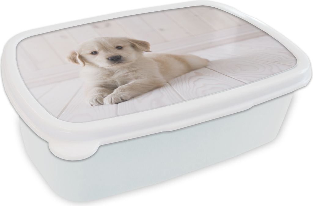 KitchenYeah Lunchbox Brotzeit Brotdose 17x11 cm Weißer Golden Retriever Welpe Kinder Brotzeitdose - Lunch Box - Kinder - Sandwich-Box - Schulbox...