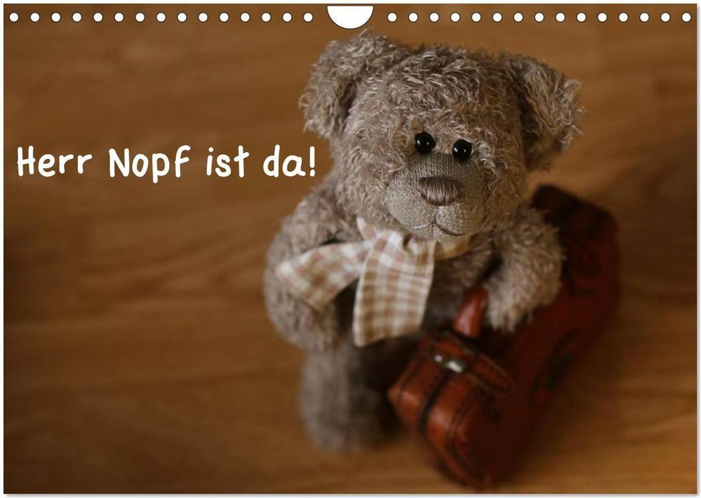 Herr Nopf ist da! (Wandkalender 2026 DIN A4 quer), CALVENDO Monatskalender