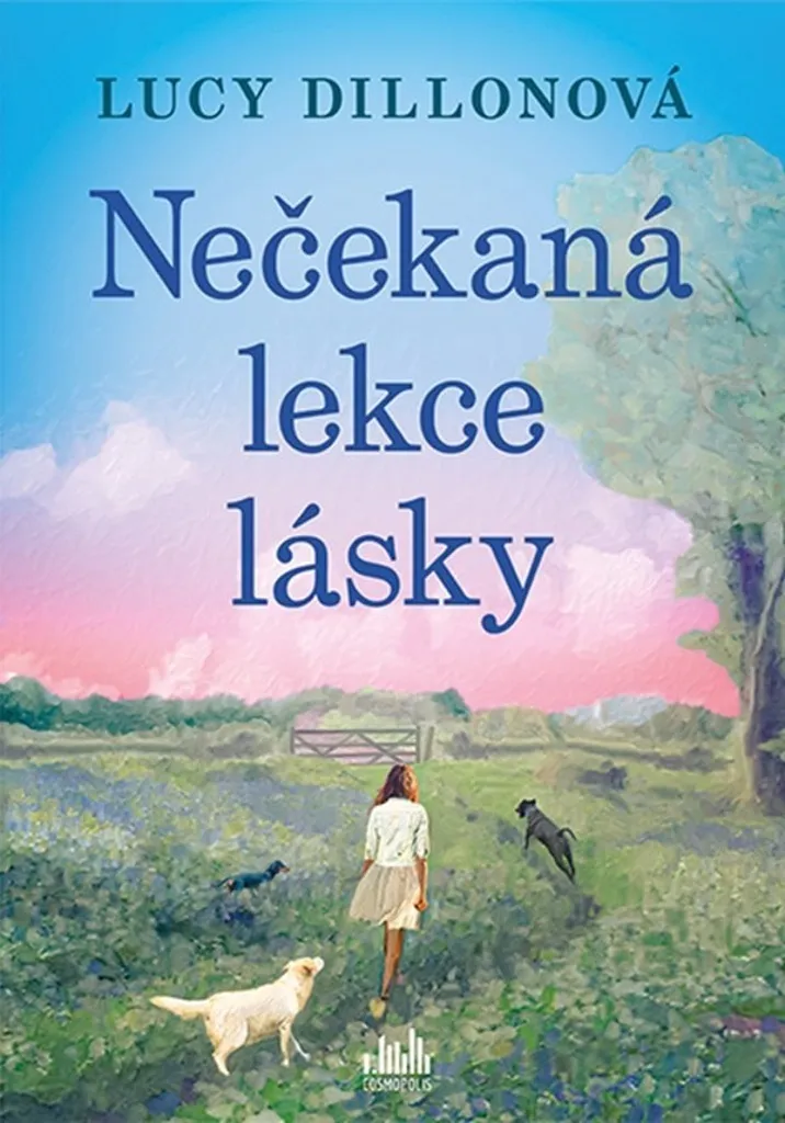 Livre Roman Nečekaná lekce lásky de Lucy Dillon - Littérature de Fiction