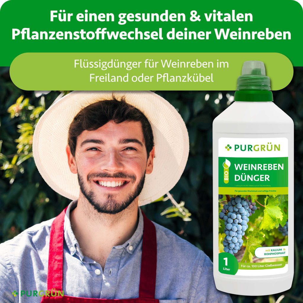 was bringt aloe vera saft Aloe Vera Saft main image 0
