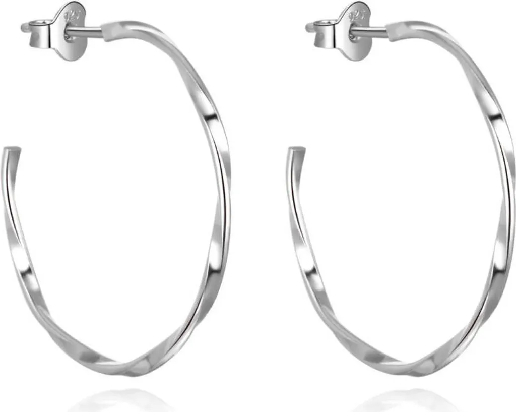 Eleganti orecchini rotondi in argento AGUP2671